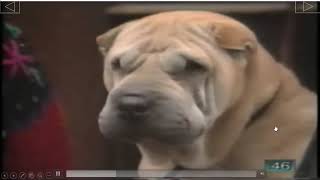 INGLES   SIDE BY SIDE   BOOK 2   CHAPTER 1