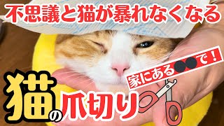 [Must see] Cats who hate having their nails trimmed will become more docile! by ぽんもち日記 1,250 views 5 days ago 14 minutes, 27 seconds