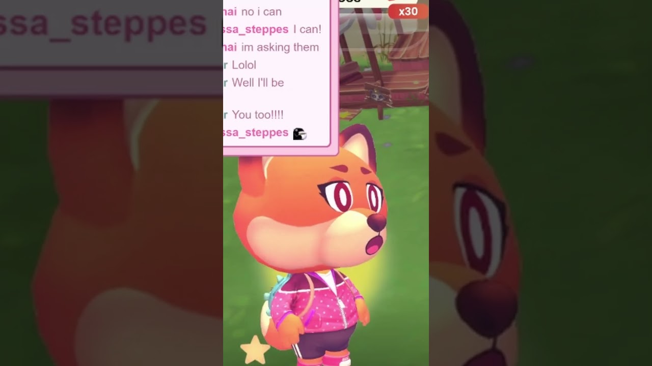 Campfire Cozy Friends is an EXPERIENCE 