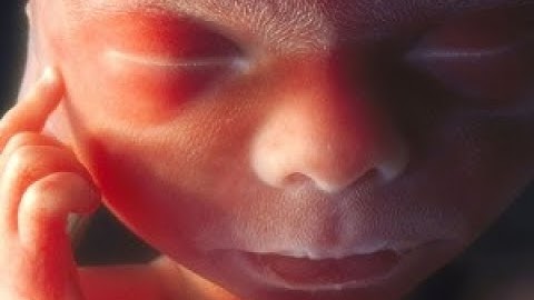 تلاوه تقشعر لها الابدان اتحداك ما تخشع ودمع