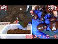 赤眼の国産カブトムシの一生を見守ったら感動過ぎた