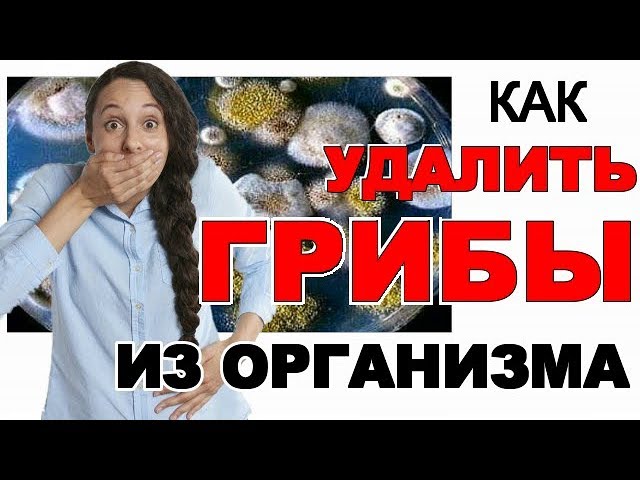 Не кормите грибов в организме! Смотреть всем!
