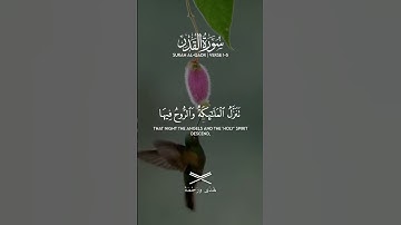 #سورة_القدر #قرآن_كريم #تلاوة_خاشعة #ليلة_القدر #راحة_نفسية #ذكر_الله #تدبر_القرآن #خشوع #هدى_ورحمة