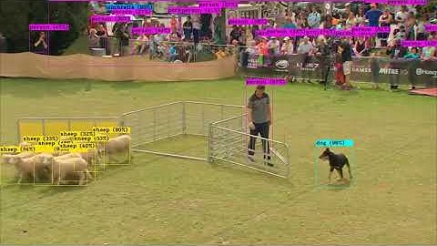 AI for counting cattle & sheep - Zeptron AI