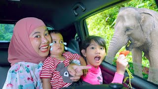 LIBUR LEBARAN KE TAMAN SAFARI 🐘 AZAM MALAH NANGIS 😭 | Salsa and Family