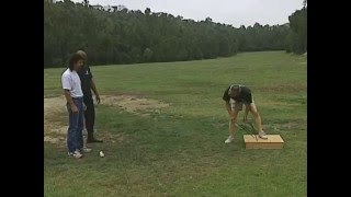 Nunti Intro.wmv