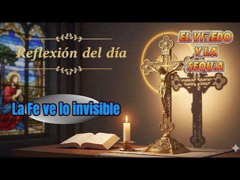 REFLEXIÓN DEL DÍA: 🙏 La fuerza de la fe que nunca falla - YouTube