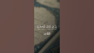 إن فى ذلك لذكرى لمن كان له قلب | ما تيسر من سورة ق | ياسر الدوسري - حالات واتساب دينيه
