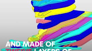 Researchers unveil new, flexible robot spider that could help doctors perform microsurgeries screenshot 2