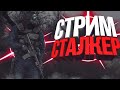 STALKER call of Pripyate #2 ЧИТАЮ ЧАТ, ОТВЕЧАЮ НА ВОПРОСЫ