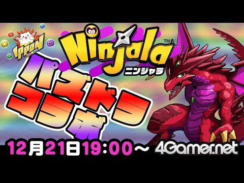 【ニンジャラ】ライブ配信:「パズドラ」コラボが絶賛開催中!【4GamerSP】