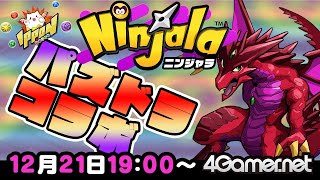 【ニンジャラ】ライブ配信：「パズドラ」コラボが絶賛開催中！【4GamerSP】