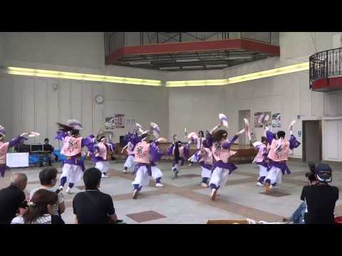 ふくこい連「ふくこい花宴」さが2013-2