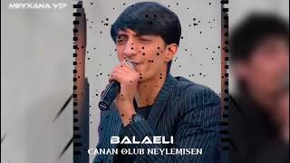 Meyxana VIP & Balaeli - Canan Olub Neylemisen Remix 2022