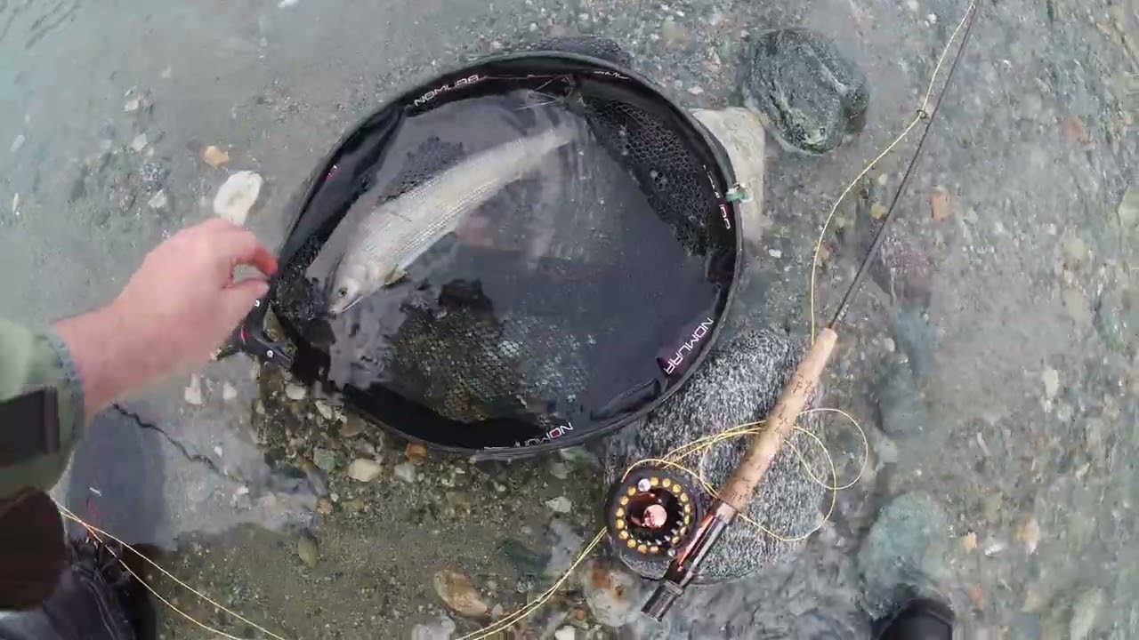 Chiusura Torrenti 2025 Parte 3 - Padello .. i funghi