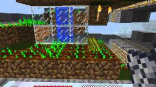 Semi-automatic seed planting and fertilizing wheat farm with auto-harvest.  Super efficient!
