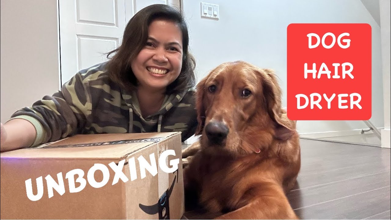 UNBOXING A Dog Hair Dryer YouTube
