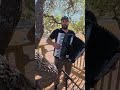 Take It From Me - Accordion Solo