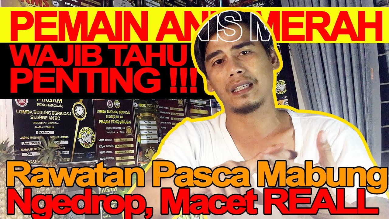 ВАЖНО!!! Правильный уход за красными ани после линьки, отмирания или остановки. Всё ещё сомневает...