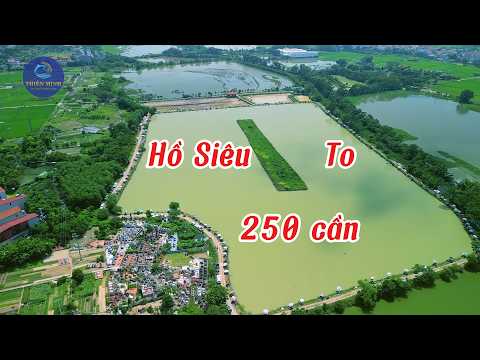 Nữ Cần Thủ Vụng Về Làm Mất Cá Liên Tục | Cuối Buổi Lại Bắt Toàn Cá To