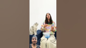 Does your cat have any weird favorite toys? #cat #cats