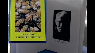 видео История пчел читать онлайн полностью бесплатно. ▷ КНИГА Майя Лунде в Knigi-online.net