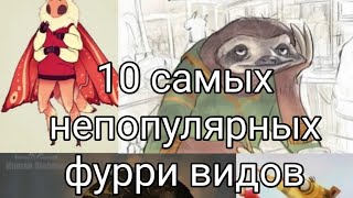 картинка: Топ 10 САМЫХ РЕДКИХ И НЕПОПУЛЯРНЫХ ФУРРИ ВИДОВ 🐾