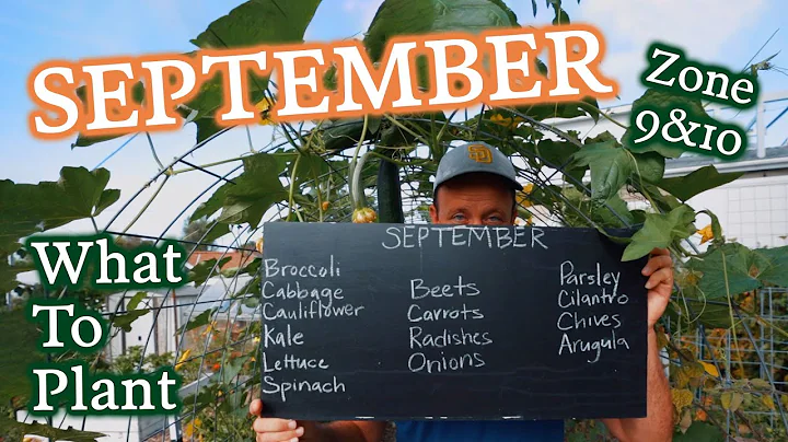 What Veggies & Herbs to Plant in September for Gardeners in Zones 9 & 10