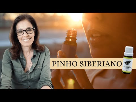 Vídeo: Pinho Siberiano