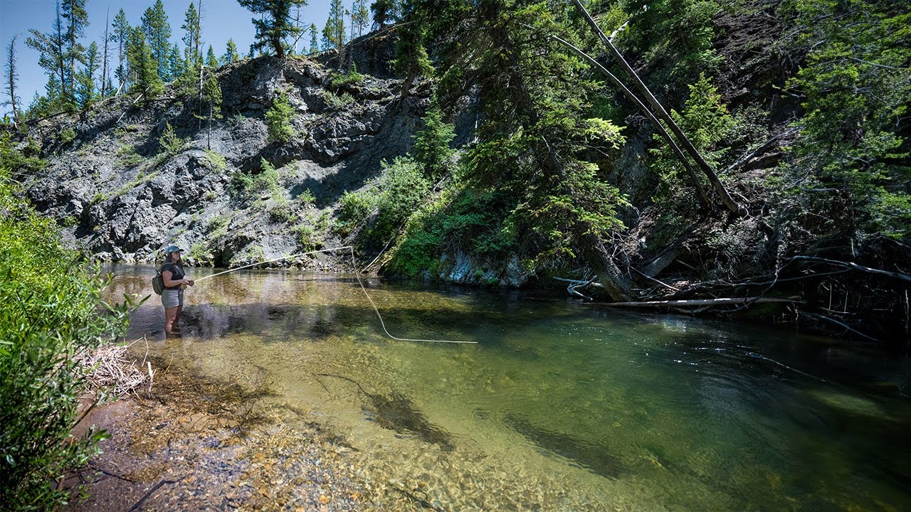 Found a PRISTINE Stream Nobody's Fished || Backcountry Fly Fishing