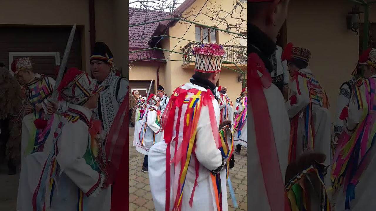 Banda broscautii 2017