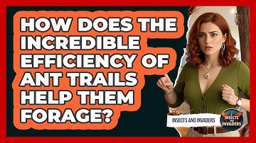 How Does The Incredible Efficiency Of Ant Trails Help Them Forage? - Insects and Invaders