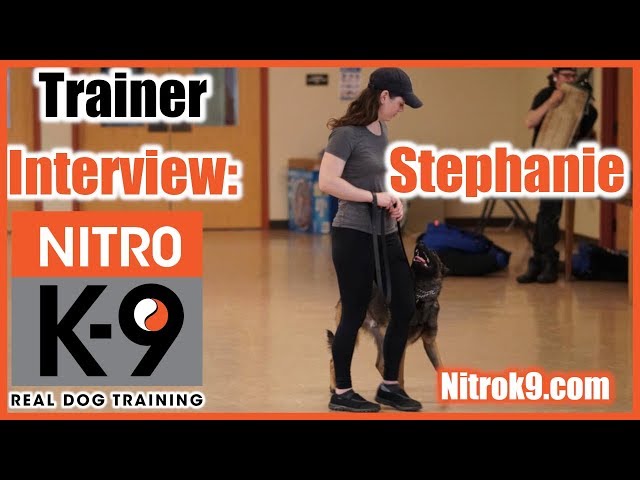 nitro k9 dog training