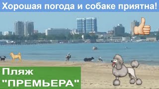 АНАПА. 1 июня 2019. Пляж ПРЕМЬЕРА, 652 метра от реки Анапки АНАПА. 1 июня 2019. Пляж ПРЕМЬЕРА, 652 метра от реки Анапки