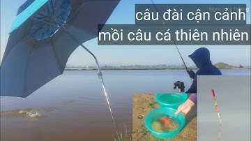 Câu cá. câu đài. mồi câu cá thiên nhiên. cận cảnh phao. fishing.