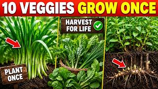10 “Forever Vegetables” You Plant Once And Harvest For The Rest Of Your Life