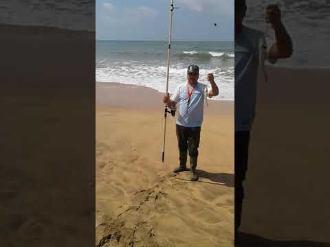 كرفوط درعي للاول مرة في قبضة الرايس رضوان بيضاوي 