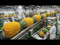 Inside the Pineapple Juice Industry — From Fresh Fruit to Bottled Juice
