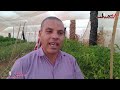 عايزينها تبقي خضرا مشروعات زراعية غير تقليدية واكتفاء ذاتي لشباب الوادى الجديد 