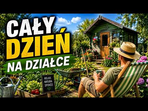 Zobacz, ile można zrobić w 1 dzień na działce
