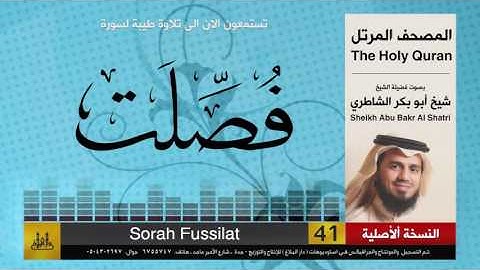 ( 41 ) سورة  فصلت | شيخ ابو بكر الشاطري | Sheikh Al Shatri