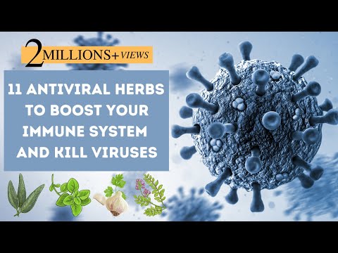 11 Antiviral Herbs To Boost Your Immune System And Fight Viruses❗️