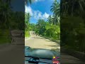 🌿 Cruising the Green Roads of Bicol | Road Trip Vibes 🇵🇭 #travelvlog #philippines #bicol