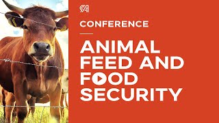 Conference Panel Discussion Series: Animal Feed and Food Security | Renaissance Ag