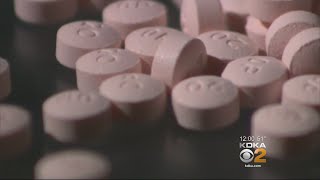 Lawsuit Filed Against 14 Drug Companies Claiming Role In Overdoses