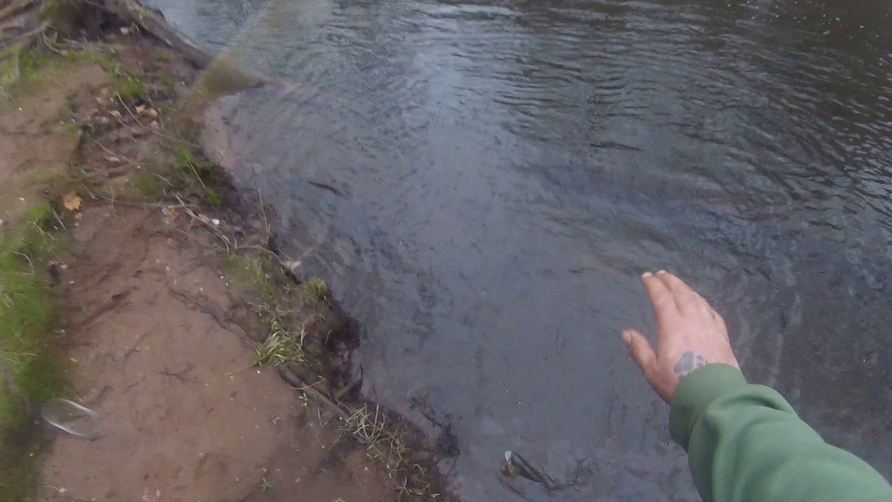 More CT trout fishing YouTube