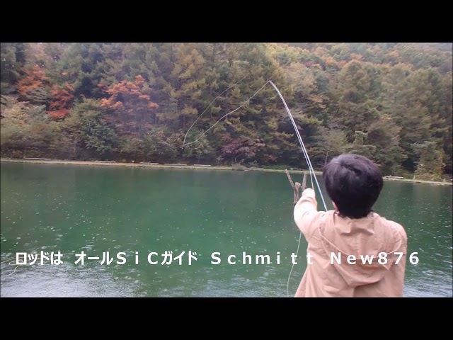 フライフィッシング シーン1 Woman Fly Fishing