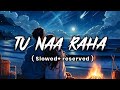 Tu Naa Raha 💔 | Slowed + Reverb | Heart Touching Sad Song | Feel The Pain 💫