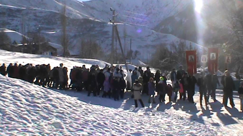 Сосновка киргизии Сосновка киргизии