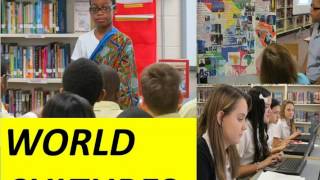 AOIS Diversity Project Final